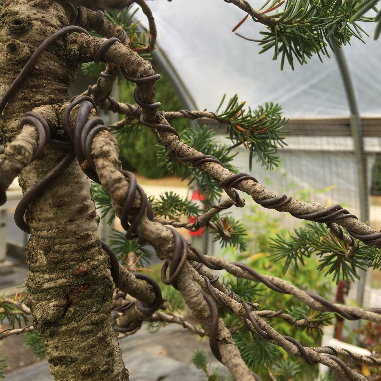 aluminum bonsai tree 7-Piece Aluminum Bonsai Tree Wire